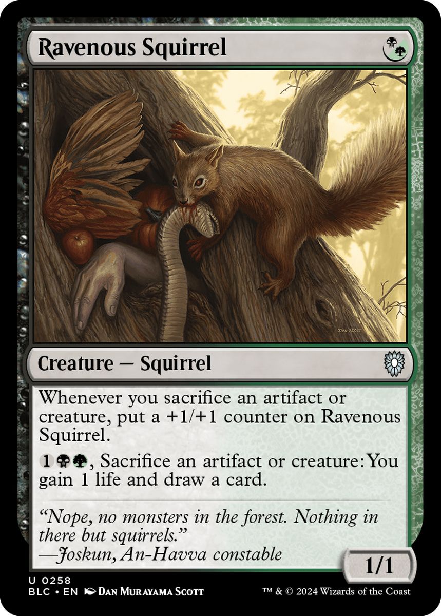(英)貪欲なるリス / Ravenous Squirrel【BLC】 No.258