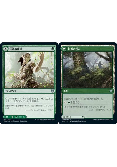 (日)【Foil】巨森の補強 / Vastwood Fortification - 巨森の茂み / Vastwood Thicket【ZNR】 No.216