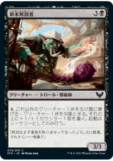(日)【Foil】新米解剖者 / Novice Dissector【STX】 No.079