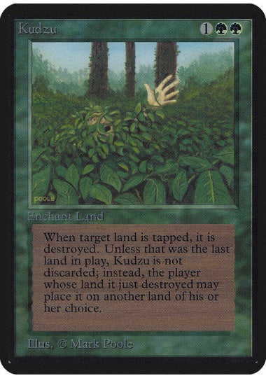 (英)Kudzu【ALPHA】 No.204