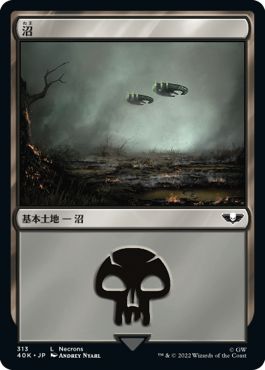 (日)沼 / Swamp【40K】 No.313