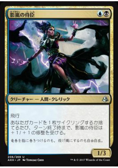 (日)影嵐の侍臣 / Shadowstorm Vizier【AKH】 No.206
