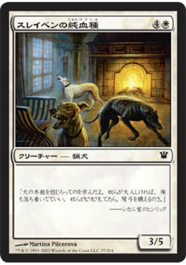 (日)【Foil】スレイベンの純血種 / Thraben Purebloods【ISD】 No.037