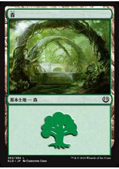 (日)森 / Forest【KLD】 No.262