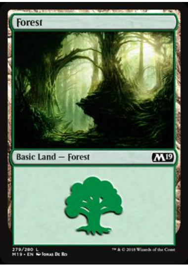 (英)森 / Forest【M19】 No.279