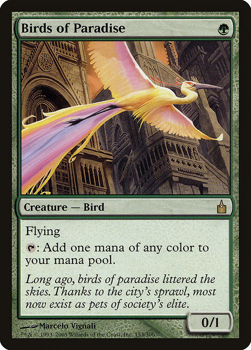 (英)【Foil】極楽鳥 / Birds of Paradise【RAV】 No.153
