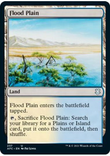 (英)氾濫原 / Flood Plain【AFC】 No.237