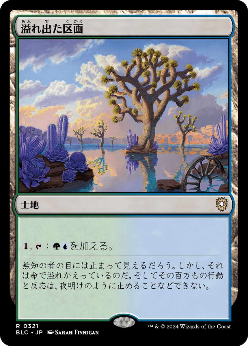 (日)溢れ出た区画 / Overflowing Basin【BLC】 No.321