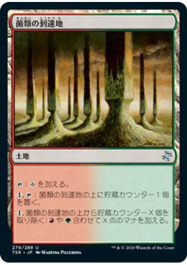 (日)菌類の到達地 / Fungal Reaches【TSR】 No.279
