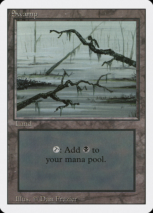 (英)沼 / Swamp【3ED】 (Two Branches) No.300