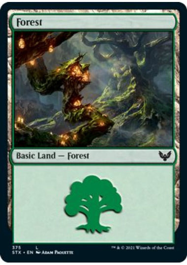 (英)【Foil】森 / Forest【STX】 No.375