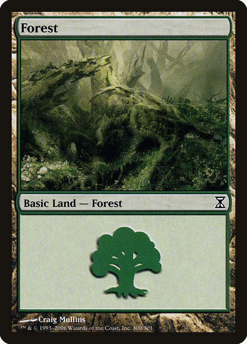 (英)森 / Forest【TSP】 No.300