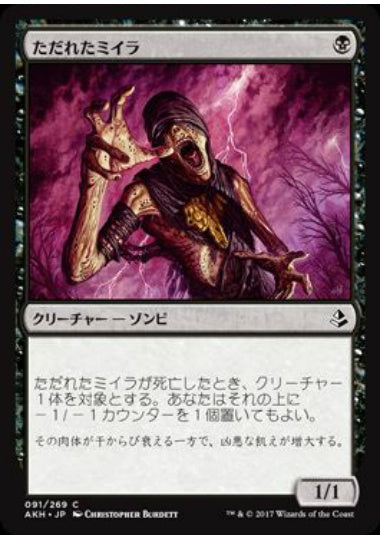 (日)【Foil】ただれたミイラ / Festering Mummy【AKH】 No.091