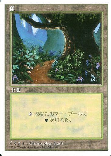 (日)森 / Forest【4ED】 (Flowers and Path) 白枠 No.376