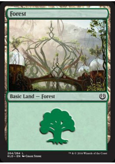 (英)森 / Forest【KLD】 No.264