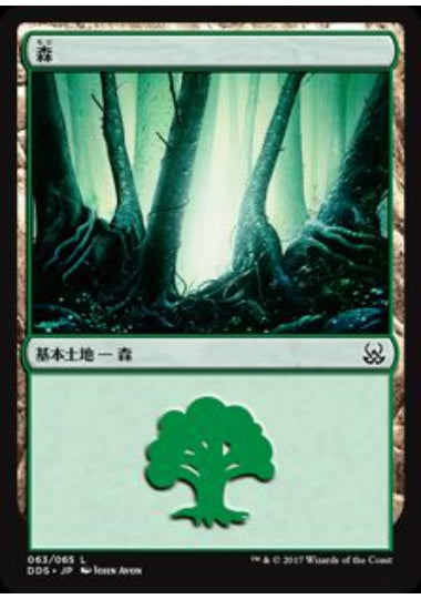 (日)森 / Forest【MVSM】 No.063