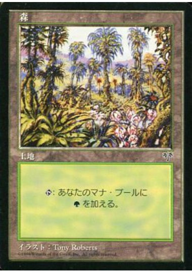 (日)森 / Forest【MIR】 No.347