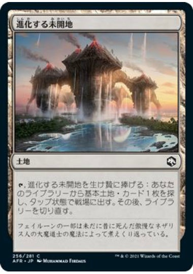 (日)【Foil】進化する未開地 / Evolving Wilds【AFR】 No.256