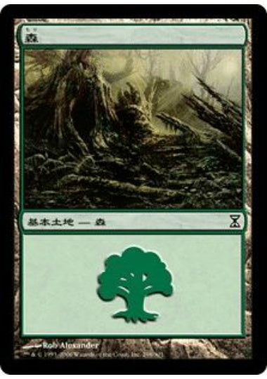 (日)森 / Forest【TSP】 No.298
