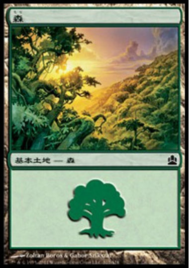 (日)森 / Forest【CMD】 No.317