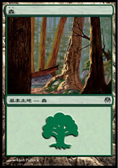 (日)森 / Forest【PVSC】 No.071