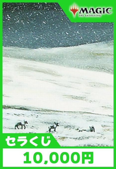 Cardshop Serra特製 10,000円くじ