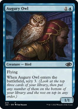 (英)占いフクロウ / Augury Owl【J22】 No.273