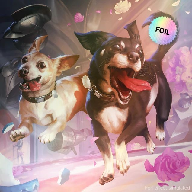 (英)Dogs Are Better Than Cats Foil Edition 【BOX】 ※発送方法は「ゆうパック」を選択してください。