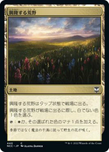 (日)興隆する荒野 / Thriving Heath【NCC】 No.440
