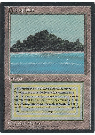 (フランス語)Ile tropicale / Tropical Island【3ED】 黒枠 No.288