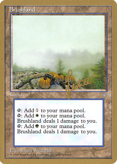 (英)低木林地 / Brushland【PTC】 ProTour NewYork Decks 1996 Bertrand Lestree 金枠 No.229