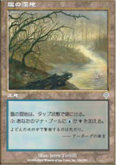 (日)塩の湿地 / Salt Marsh【INV】 No.326