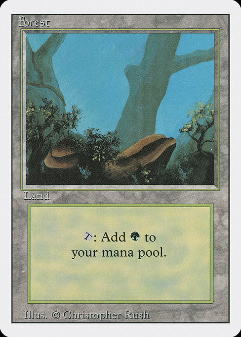 (英)森 / Forest【3ED】 (Green Rocks) No.306
