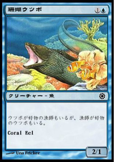 (日)珊瑚ウツボ / Coral Eel【POR】 No.049