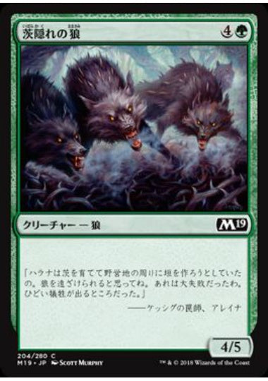 (日)【Foil】茨隠れの狼 / Thornhide Wolves【M19】 No.204