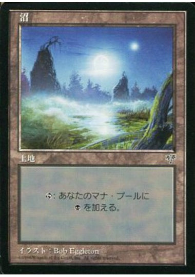 (日)沼 / Swamp【MIR】 No.340