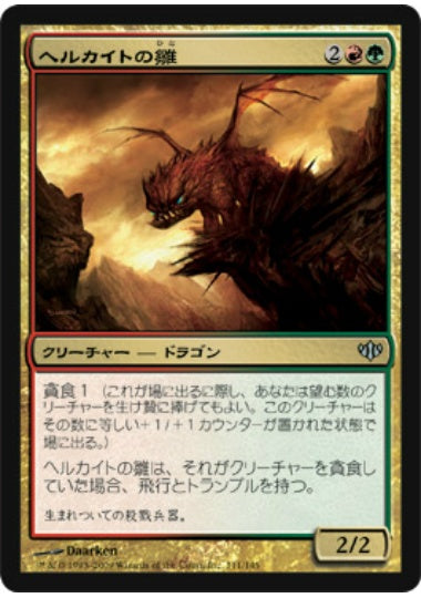 (日)【Foil】ヘルカイトの雛 / Hellkite Hatchling【CON】 No.111