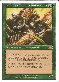 (日)ウークタビー・ワイルドキャット / Uktabi Wildcats【6ED】 No.261