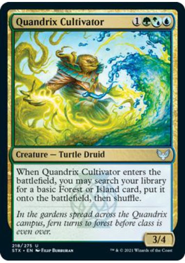 (英)クアンドリクスの栽培者 / Quandrix Cultivator【STX】 No.218