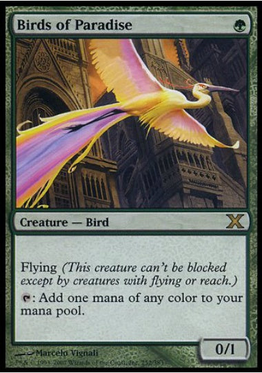 (英)極楽鳥 / Birds of Paradise【10E】 No.252
