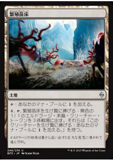 (日)繁殖苗床 / Spawning Bed【BFZ】 No.248
