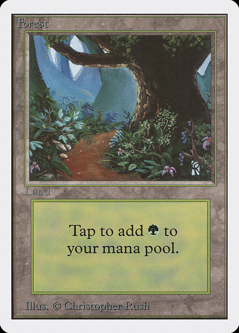 (英)森 / Forest【2ED】 (Flowers and Path) No.300