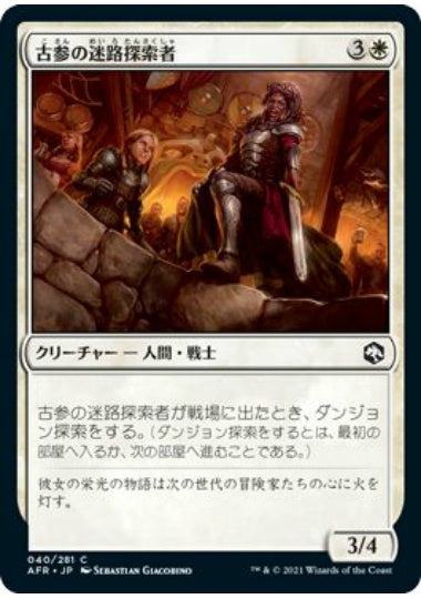 (日)【Foil】古参の迷路探索者 / Veteran Dungeoneer【AFR】 No.040