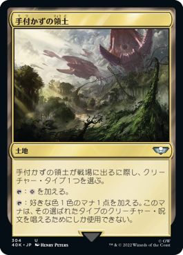 (日)手付かずの領土 / Unclaimed Territory【40K】 No.304