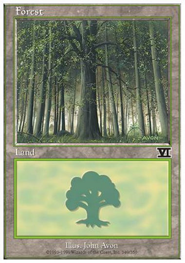 (英)森 / Forest【6ED】 No.349