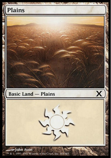 (英)平地 / Plains【10E】 No.365