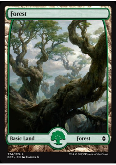 (英)【Foil】森 / Forest【BFZ】フルアート版 No.274