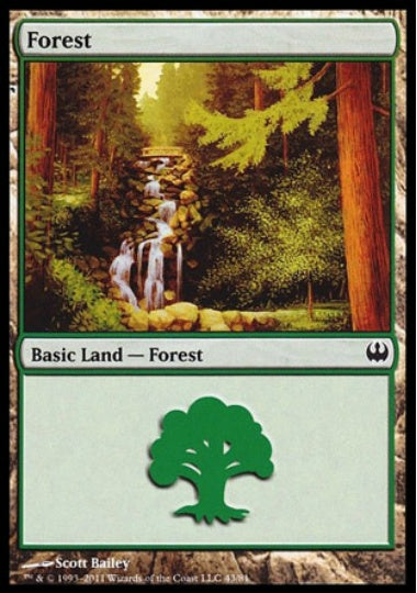 (英)森 / Forest【KVSD】 No.043