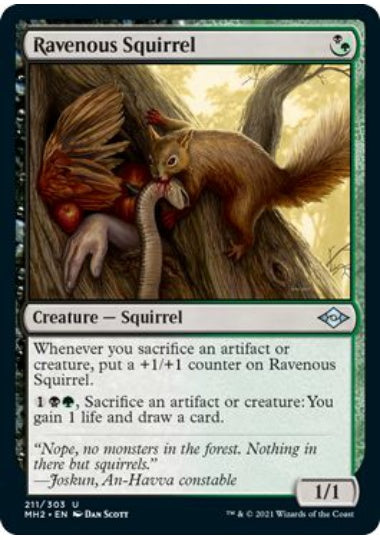 (英)【Foil】貪欲なるリス / Ravenous Squirrel【MH2】 No.211
