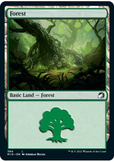 (英)森 / Forest【MID】 統率者デッキ収録 No.384